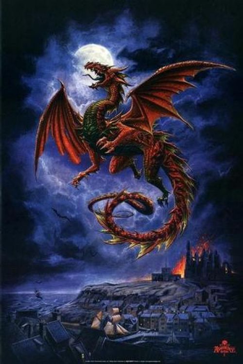 red dragon at night.jpg